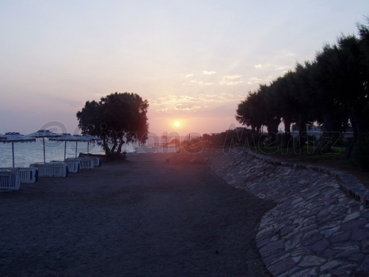 Images/Meer_ (48).jpg